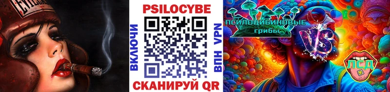 хочу наркоту  Нерчинск  Галлюциногенные грибы Magic Shrooms 